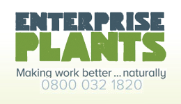 Enterprise Plants